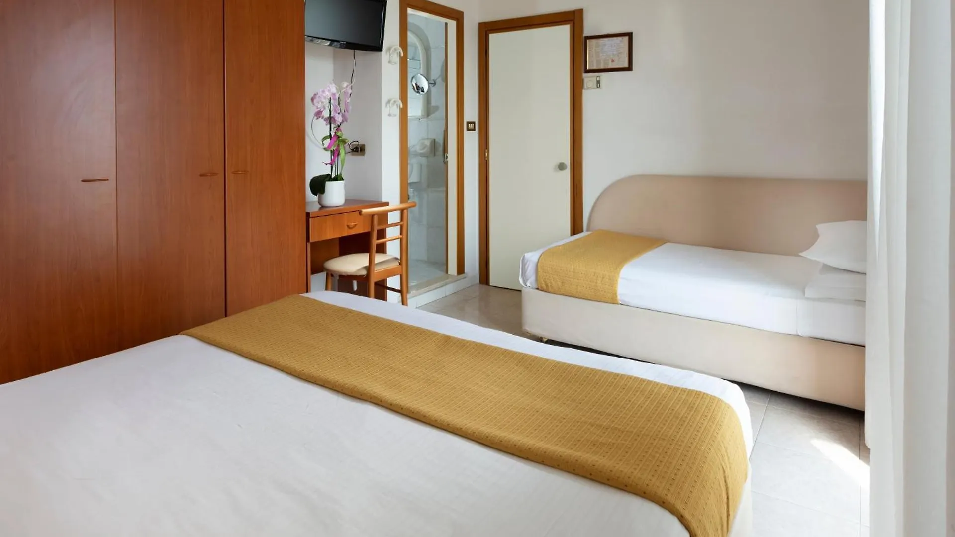 רימיני Hotel Vela D'Oro 3*,